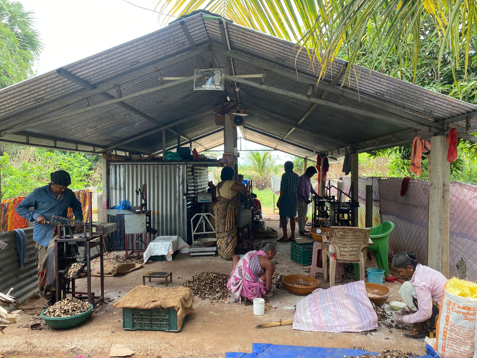 Heat Exposure & Adaptation Tools – Protecting vulnerable groups