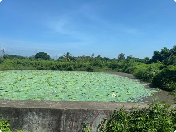 picture1 modified (1)