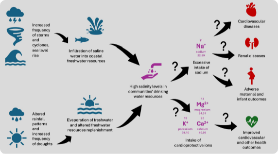 screenshot (342) modified