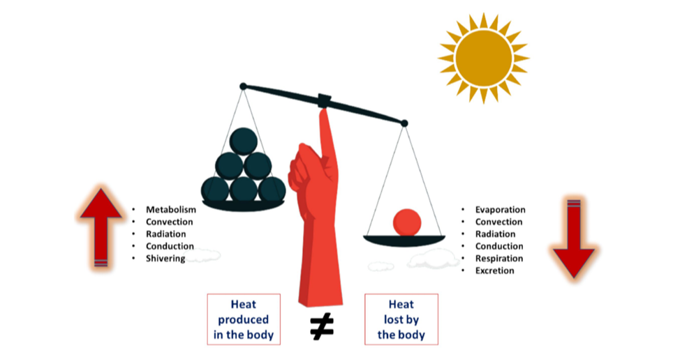 screenshot (344) modified