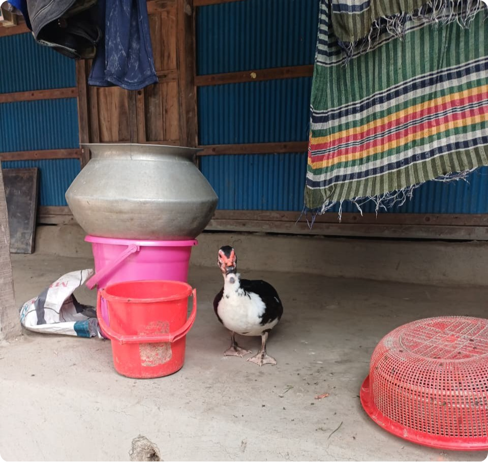 storing water modified